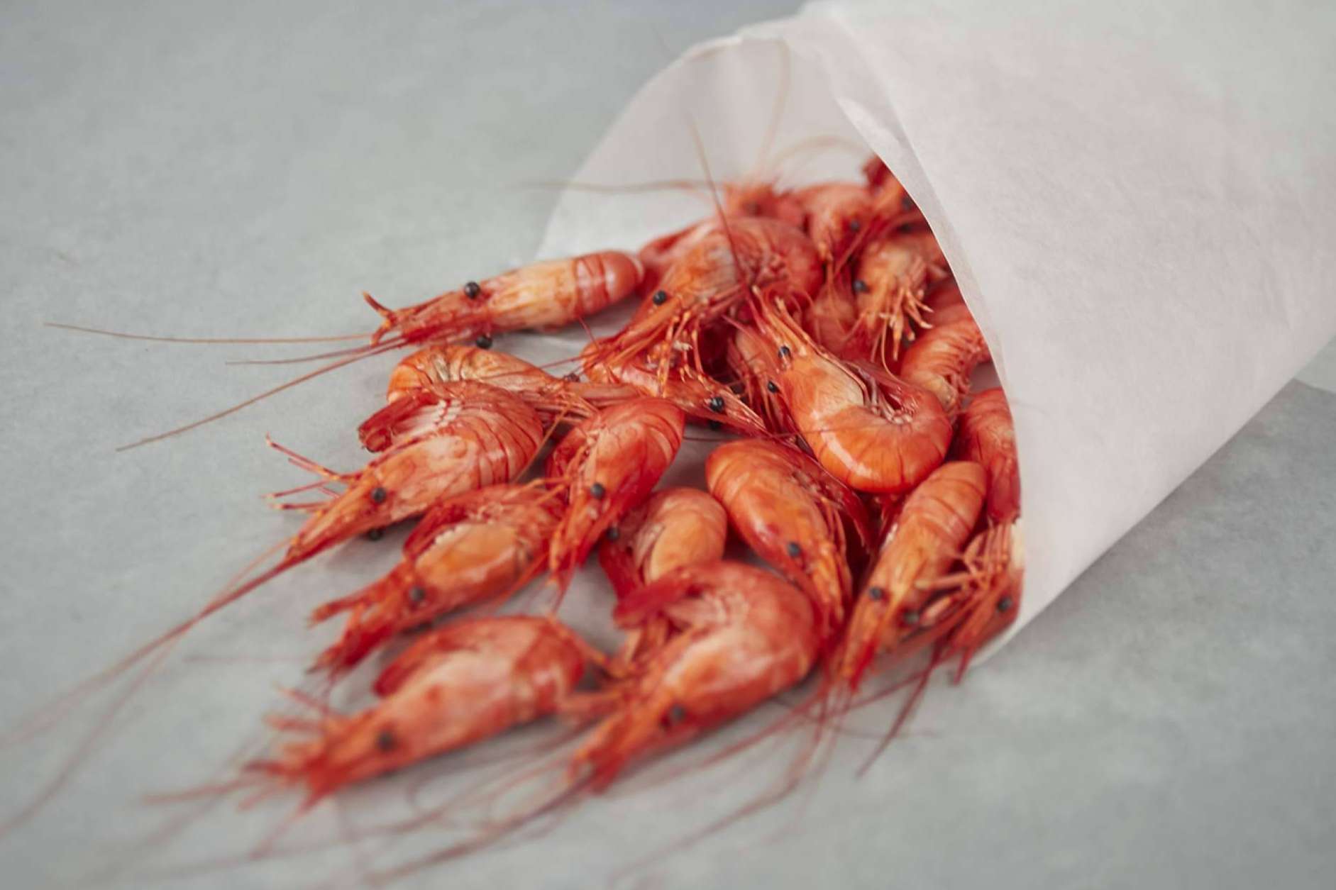 Las ventajas del pescado fresco. ¿Por qué elegir SINESCAMA?
