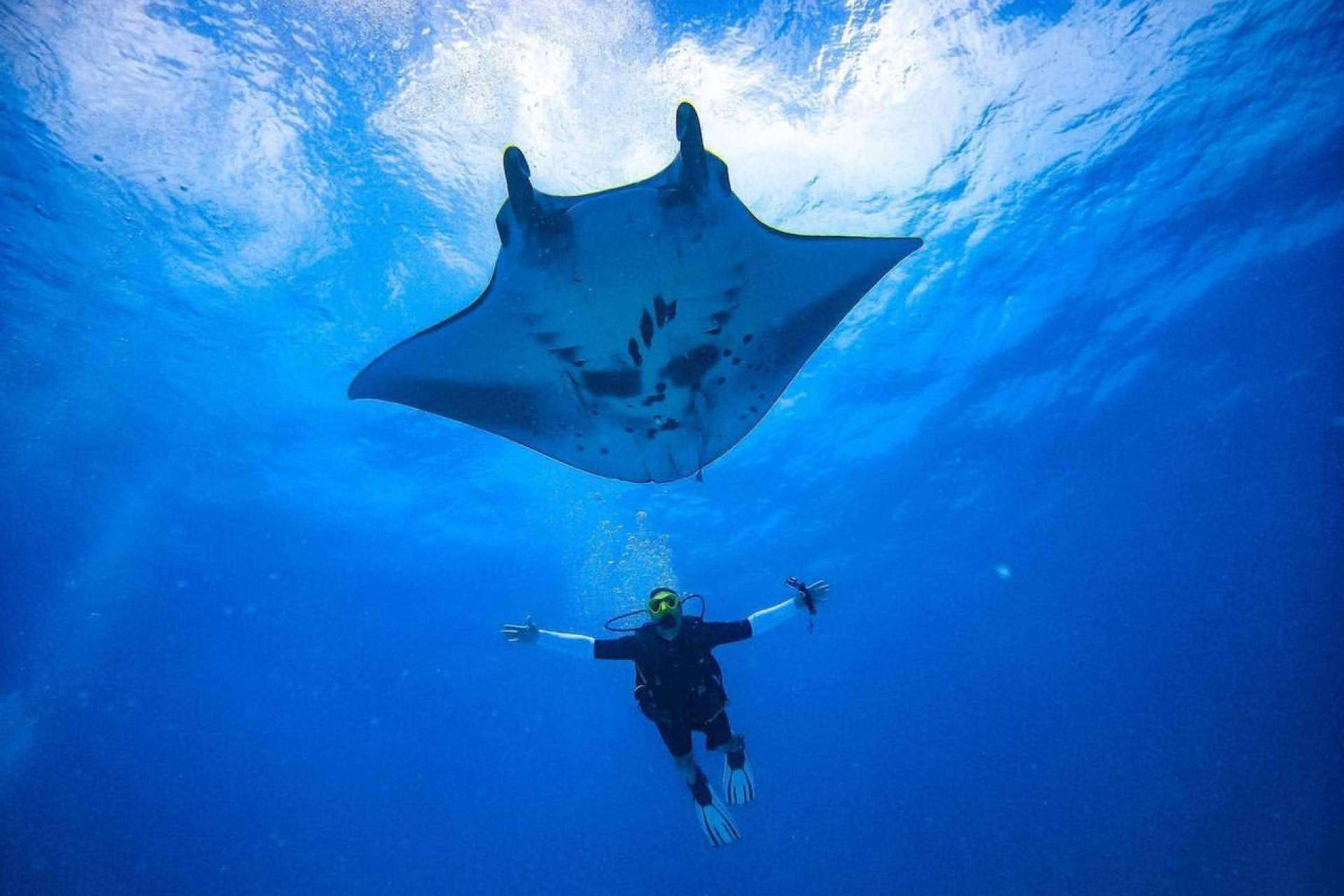 Entrevista al equipo de trabajo de la escuela Drop Dive Maldives