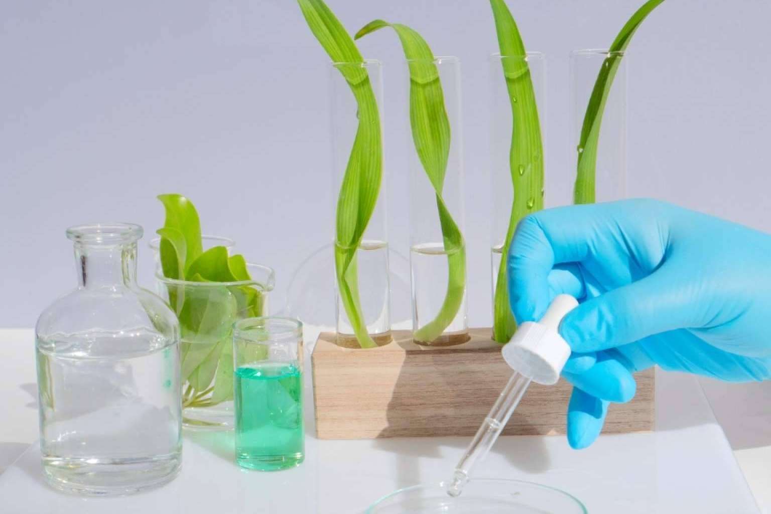 GudPro® frente al Norovirus; fortaleciendo la salud intestinal