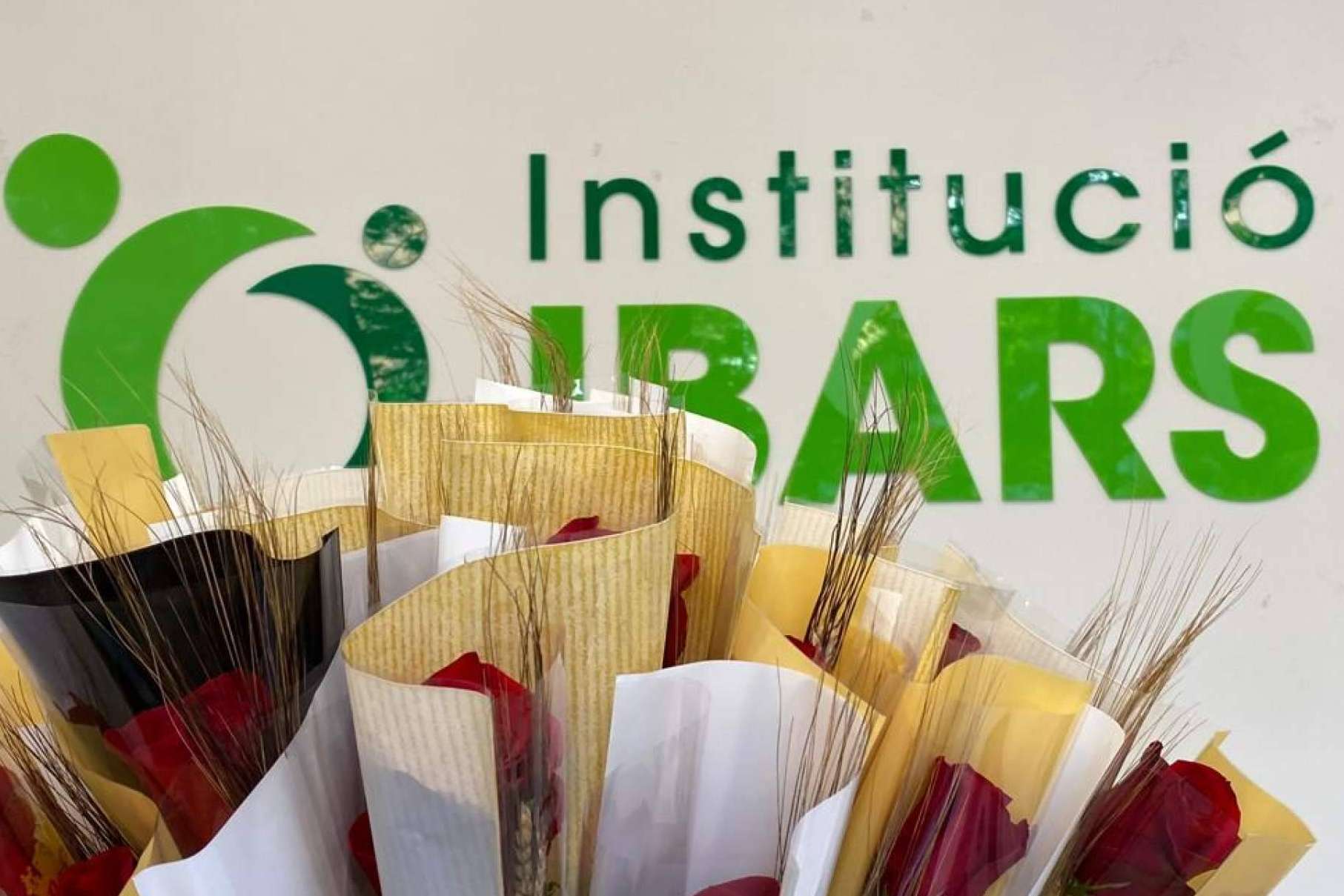 Institució Ibars, modelo de referencia en el servicio de ayuda domiciliaria y cuidado a mayores