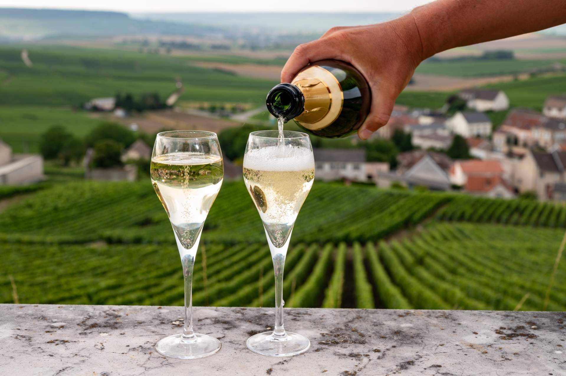 Naturelovers Wines impulsa el enoturismo con catas a ciegas y visitas personalizadas a bodegas