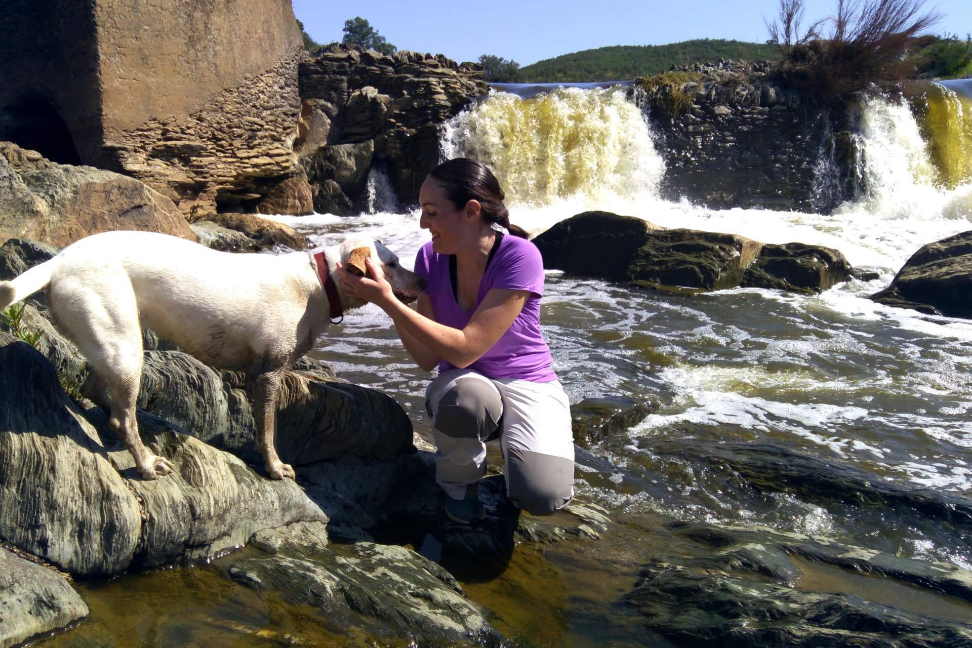 DogInquieta impulsa el turismo en Extremadura con mascota con asesoría a alojamientos