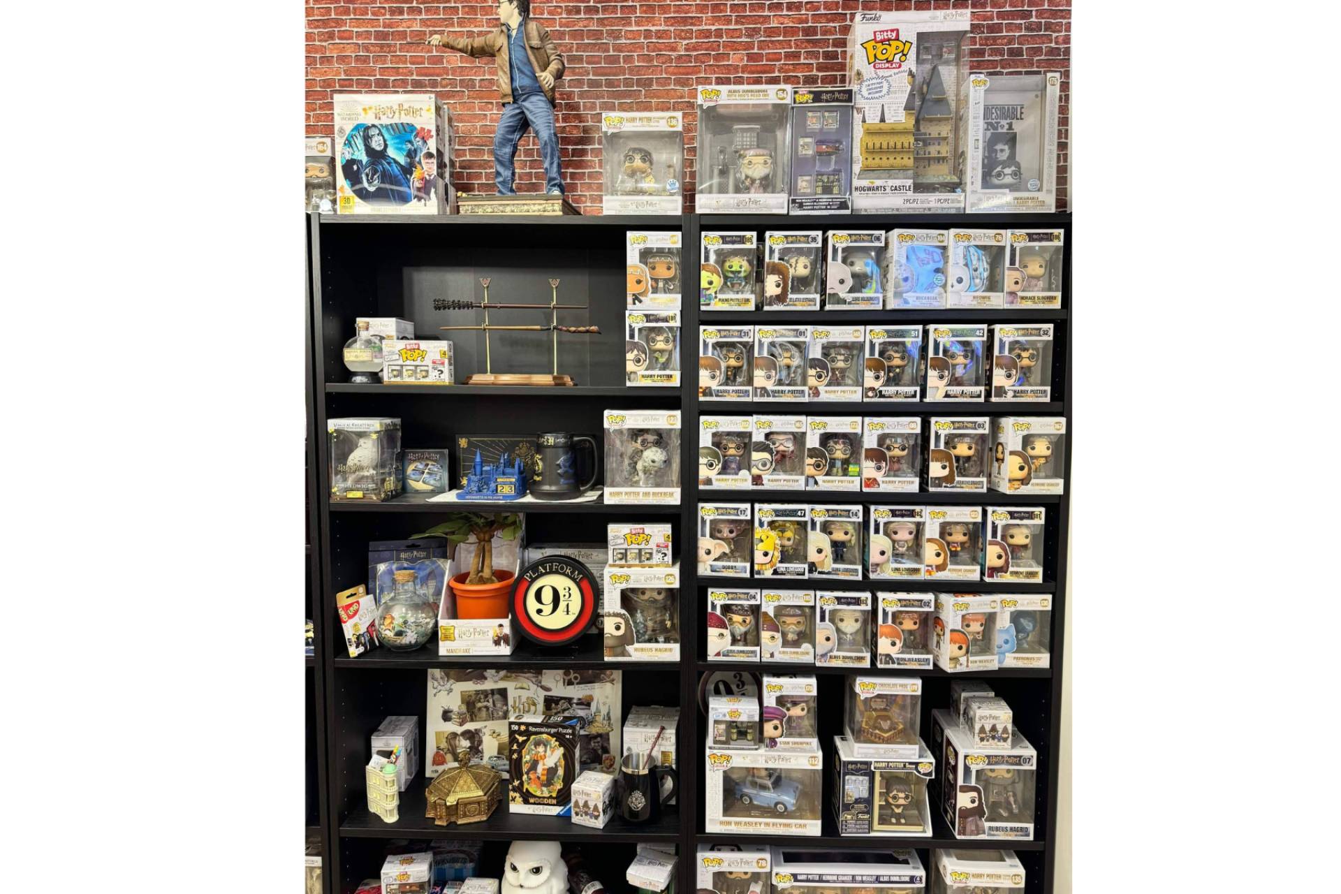 Passarella, la tienda friki de referencia para fans de Harry Potter y coleccionistas en Valencia