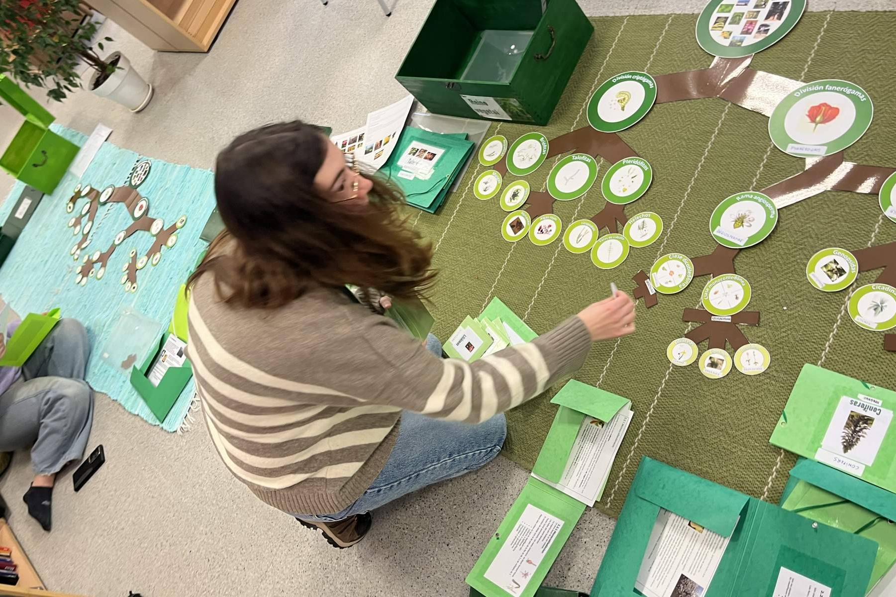La Asociación Montessori Internacional amplía su oferta de formación profesional para maestros en España