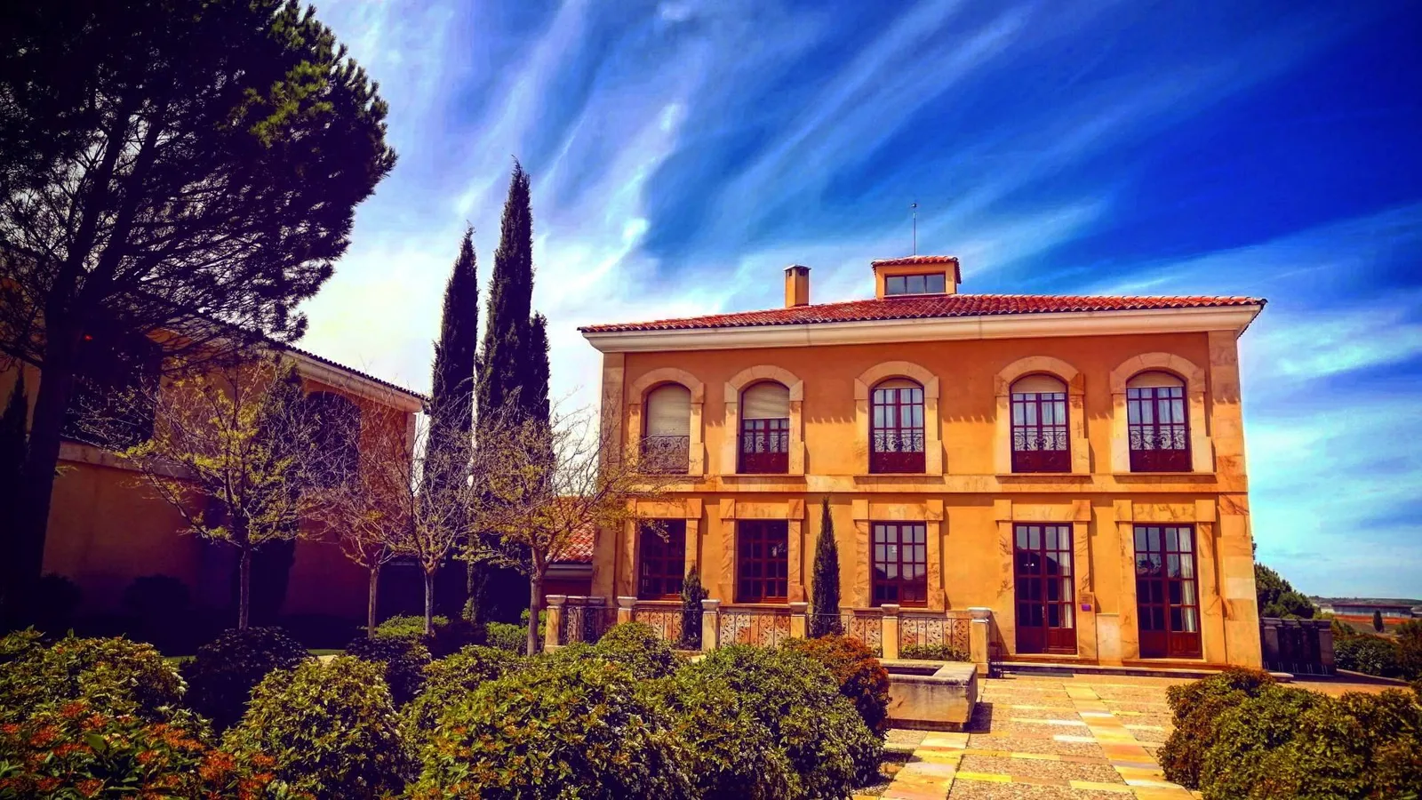 Tour de vinos frente a una ruta por cuenta propia; las diferencias que cambian la experiencia